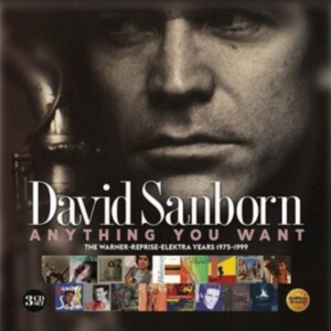 Sanborn David - Anything You WantWarner/Reprise/El in der Gruppe CD bei Bengans Skivbutik AB (3811831)