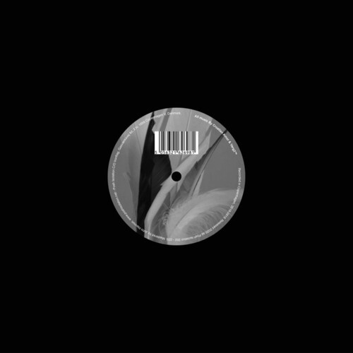 Croatian Amor & Varg2Tm - Body Of Water / Body Of Carbon in der Gruppe VINYL / Rock bei Bengans Skivbutik AB (3812811)