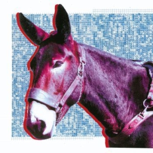 Protomartyr - Ultimate Success Today in der Gruppe CD / Rock bei Bengans Skivbutik AB (3814366)