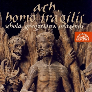 Various - Ach, Homo Fragilis in der Gruppe CD bei Bengans Skivbutik AB (3815215)