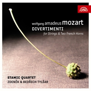 Mozart W A - Divertimenti For Strings & Two Fren in der Gruppe Externt_Lager / Naxoslager bei Bengans Skivbutik AB (3816033)