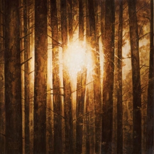 In Mourning - Echoes (3Lp Boxset Splatter) in der Gruppe VINYL / Hårdrock,Svensk Musik bei Bengans Skivbutik AB (3818825)