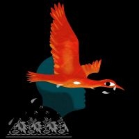 Meimuna - Bestiaire Ii in der Gruppe CD / Pop-Rock bei Bengans Skivbutik AB (3820399)