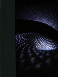 Tool - Fear Inoculum in der Gruppe UNSERE TIPPS / Bäst Album Under 10-talet / Bäst Album Under 10-talet - Classic Rock bei Bengans Skivbutik AB (3820751)