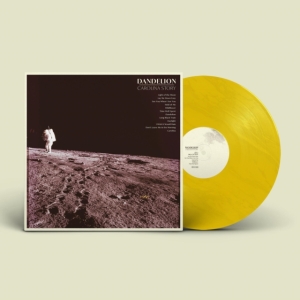 Carolina Story - Dandelion in der Gruppe VINYL / Country bei Bengans Skivbutik AB (3822867)