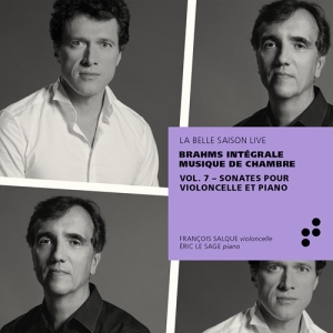 Brahms Johannes - Integrale Musique De Chambre, Vol. in der Gruppe CD bei Bengans Skivbutik AB (3824586)
