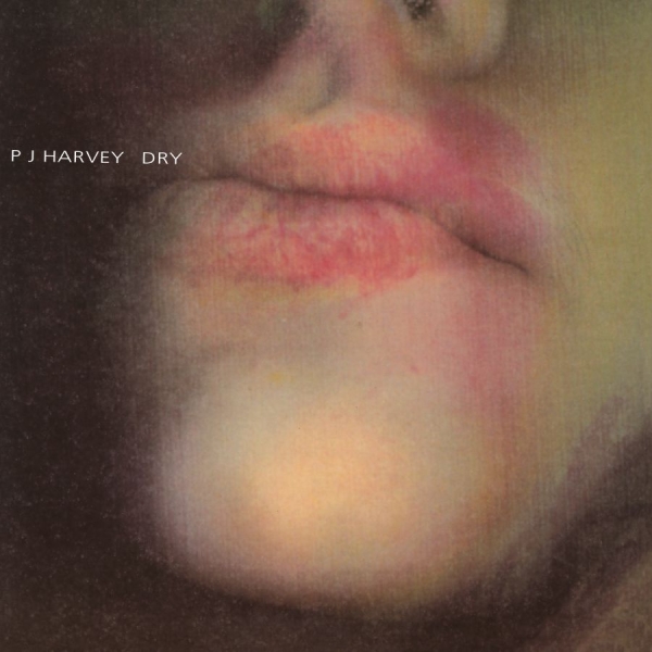 Pj Harvey - Dry (Re-Issue) in der Gruppe VINYL / Bestseller bei Bengans Skivbutik AB (3829133)