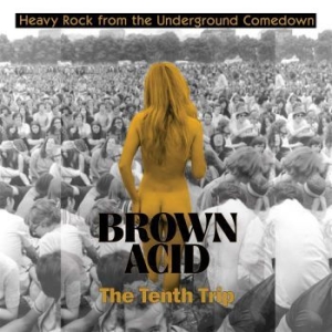 V/A - Brown Acid: The Tenth Trip - Brown Acid: The Tenth Trip (Lila Vi in der Gruppe VINYL / Hårdrock/ Heavy metal bei Bengans Skivbutik AB (3829146)