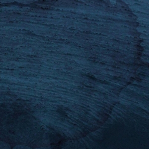 Multicast Dynamics - Aquatic System in der Gruppe VINYL bei Bengans Skivbutik AB (3829687)