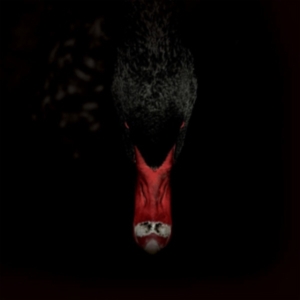 Sankt Otten + N - Mannerfreundschaften Und Metaphysik in der Gruppe Övrigt /  bei Bengans Skivbutik AB (3829707)