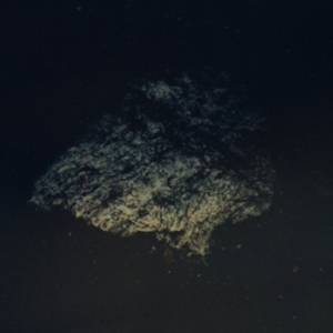 Multicast Dynamics - Lost World in der Gruppe Övrigt /  bei Bengans Skivbutik AB (3829748)