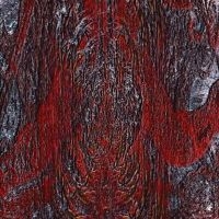 Asfast - The Prime Same in der Gruppe VINYL / Pop-Rock bei Bengans Skivbutik AB (3829758)