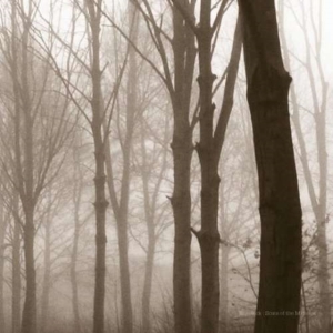 Blueneck - Scars Of The Midwest in der Gruppe CD bei Bengans Skivbutik AB (3829849)