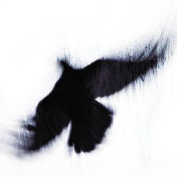 Blueneck - The Fallen Host in der Gruppe CD / Pop bei Bengans Skivbutik AB (3829856)