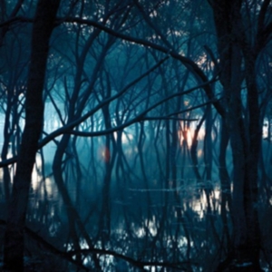 Oneirogen - Kiasma in der Gruppe CD bei Bengans Skivbutik AB (3830227)