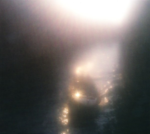 Ensemble Economique - Blossoms In Red in der Gruppe CD / Pop-Rock bei Bengans Skivbutik AB (3830286)