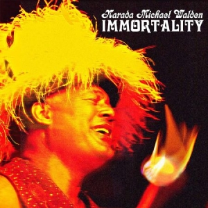 Walden Narada Michael - Immortality in der Gruppe CD bei Bengans Skivbutik AB (3833117)