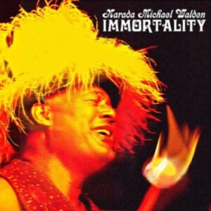 Walden Narada Michael - Immortality in der Gruppe VINYL bei Bengans Skivbutik AB (3833118)