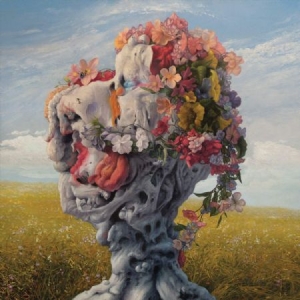Wilderun - Veil of Imagination in der Gruppe VINYL / Hårdrock bei Bengans Skivbutik AB (3837480)