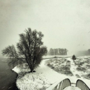 Beequeen - Winter in der Gruppe VINYL bei Bengans Skivbutik AB (3838739)