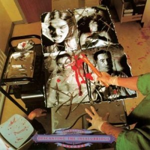 Carcass - Necroticism - Descanting The Insalu in der Gruppe VINYL / Hårdrock bei Bengans Skivbutik AB (3839730)