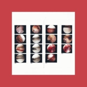 Cradle - Laughing In My Sleep in der Gruppe VINYL / Pop-Rock bei Bengans Skivbutik AB (3840122)