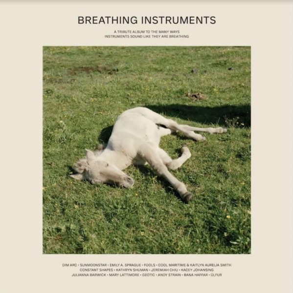 Various Artists - Breathing Instruments in der Gruppe VINYL / Bestseller bei Bengans Skivbutik AB (3840174)