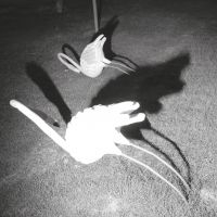 Siavash Amini - A Mimesis Of Nothingness in der Gruppe VINYL / Rock bei Bengans Skivbutik AB (3841025)