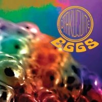 Otakusuite - Black Flower in der Gruppe CD / Pop-Rock bei Bengans Skivbutik AB (3841173)