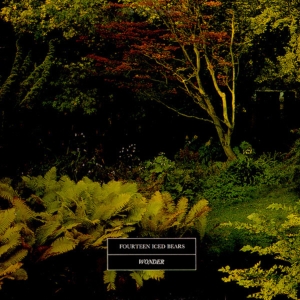 14 ICED BEARS - WONDER in der Gruppe Övrigt / bei Bengans Skivbutik AB (3842191)