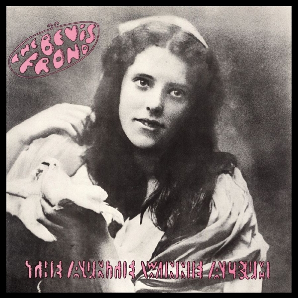 Bevis Frond The - The Auntie Winnie Album in der Gruppe CD / Bestseller bei Bengans Skivbutik AB (3842264)