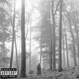 Taylor Swift - Folklore in der Gruppe UNSERE TIPPS / Årsbästalistor 2020 / NME 2020 bei Bengans Skivbutik AB (3842674)