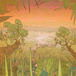 Pine Barons - Mirage On The Meadow in der Gruppe VINYL / Pop-Rock bei Bengans Skivbutik AB (3843023)