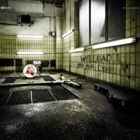 Wellbad - Rock Noir Live in der Gruppe CD / Pop-Rock bei Bengans Skivbutik AB (3843084)