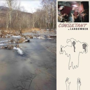 Landowner - Consultant in der Gruppe VINYL / Rock bei Bengans Skivbutik AB (3843460)