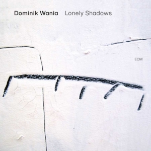 Wania Dominik - Lonely Shadows in der Gruppe CD bei Bengans Skivbutik AB (3843809)