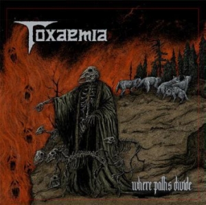 Toxaemia - Where Paths Divide in der Gruppe CD / Hårdrock bei Bengans Skivbutik AB (3844225)