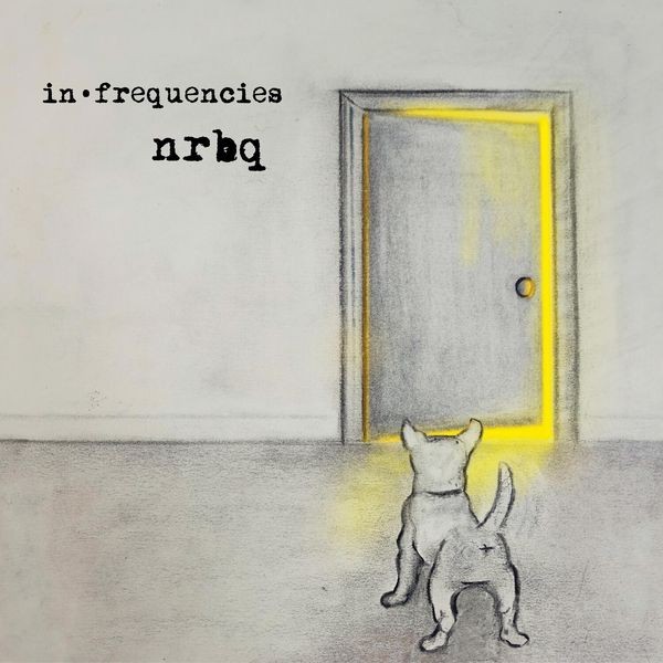 NRBQ - In Frequencies in der Gruppe VINYL / Rock bei Bengans Skivbutik AB (3844407)