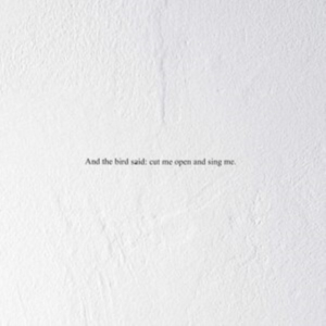 Prairie - And The Bird Said: Cut Me Open And in der Gruppe Labels / Woah Dad / Dold_tillfall bei Bengans Skivbutik AB (3846185)