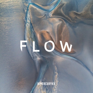 Various artists - Flow (Vinyl) in der Gruppe VINYL / Dance-Techno,Elektroniskt bei Bengans Skivbutik AB (3846839)