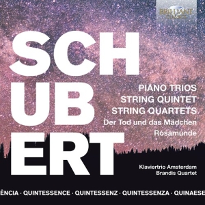 Franz Schubert - Quintessence Schubert - Piano Trios in der Gruppe Externt_Lager / Naxoslager bei Bengans Skivbutik AB (3846958)
