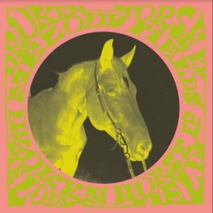 Melody Fields - Broken Horse Ep in der Gruppe Minishops / Melody Fields bei Bengans Skivbutik AB (3860263)
