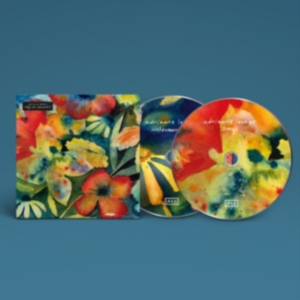 Lenker Adrianne - Songs And Instrumentals in der Gruppe UNSERE TIPPS / Årsbästalistor 2020 / Pitchfork 2020 bei Bengans Skivbutik AB (3860757)