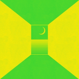 Ceremony - In The Spirit World Now (Synthetic in der Gruppe VINYL / Pop-Rock bei Bengans Skivbutik AB (3865963)