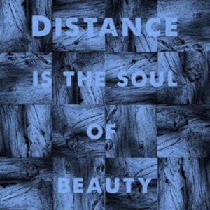 Sheehy Michael J - Distance Is The Soul Of Beauty in der Gruppe CD / Pop-Rock bei Bengans Skivbutik AB (3866097)