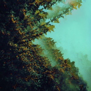 Polymoon - Caterpillars Of Creation in der Gruppe CD / Pop-Rock bei Bengans Skivbutik AB (3866651)
