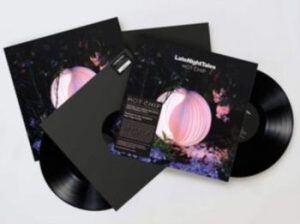 Hot Chip - Late Night Tales in der Gruppe UNSERE TIPPS / Late Night Tales bei Bengans Skivbutik AB (3867288)