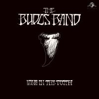 Budos Band The - Long In The Tooth in der Gruppe VINYL bei Bengans Skivbutik AB (3894424)