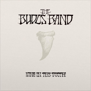 Budos Band The - Long In The Tooth in der Gruppe VINYL / Pop-Rock bei Bengans Skivbutik AB (3894424)