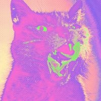 Teenanger - Good Time in der Gruppe VINYL bei Bengans Skivbutik AB (3894427)